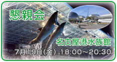 懇親会　名古屋港水族館　7月19日（金）18:00～20:30